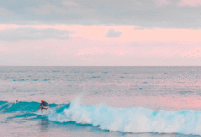 【保姆级教程】小白3分钟用md2card一键制作精美小红书封面和知识卡片-南希说